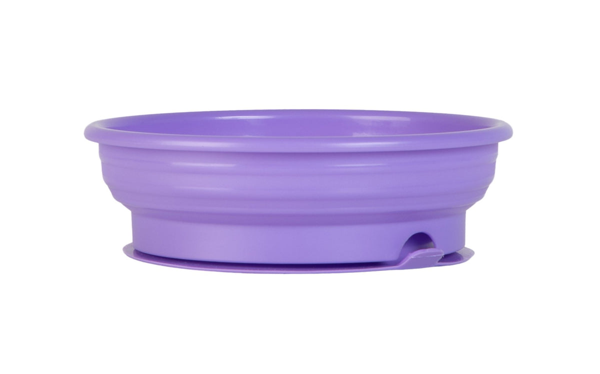 My First Toddler Bowl - with suction base