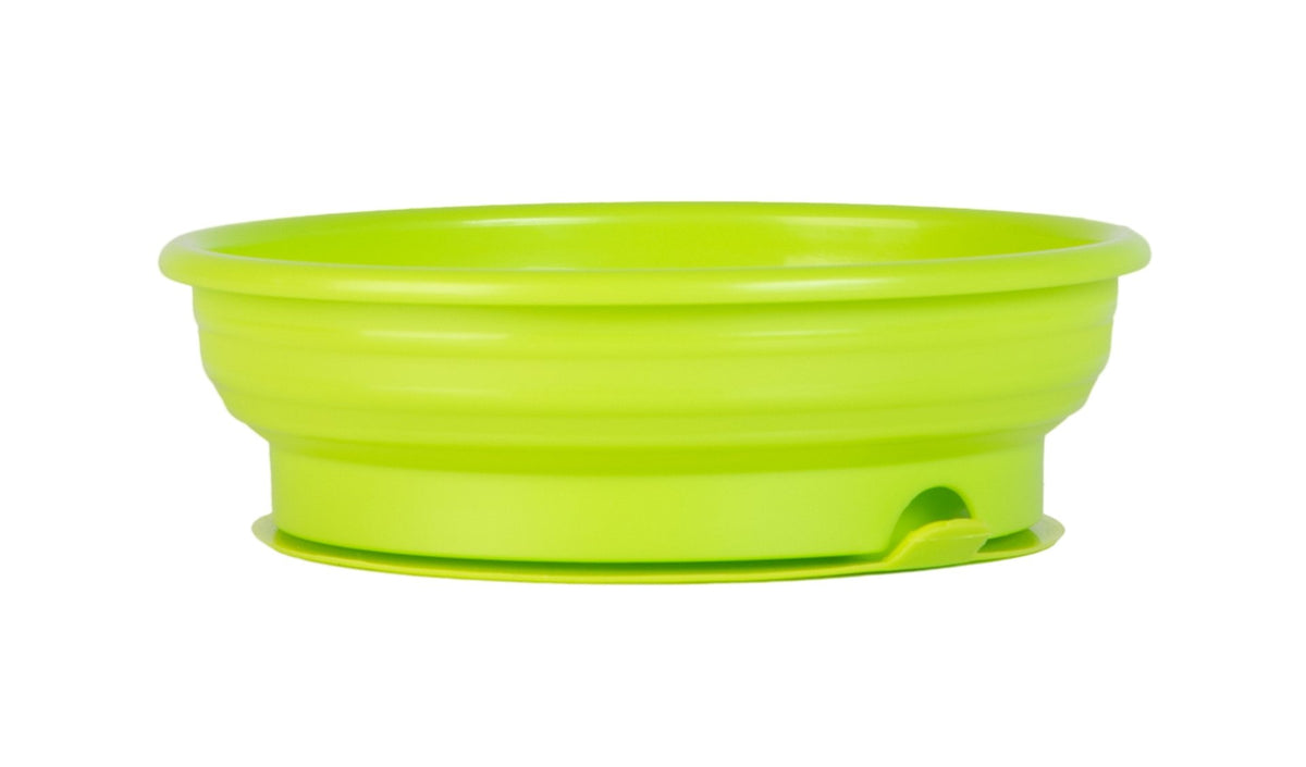 My First Toddler Bowl - with suction base